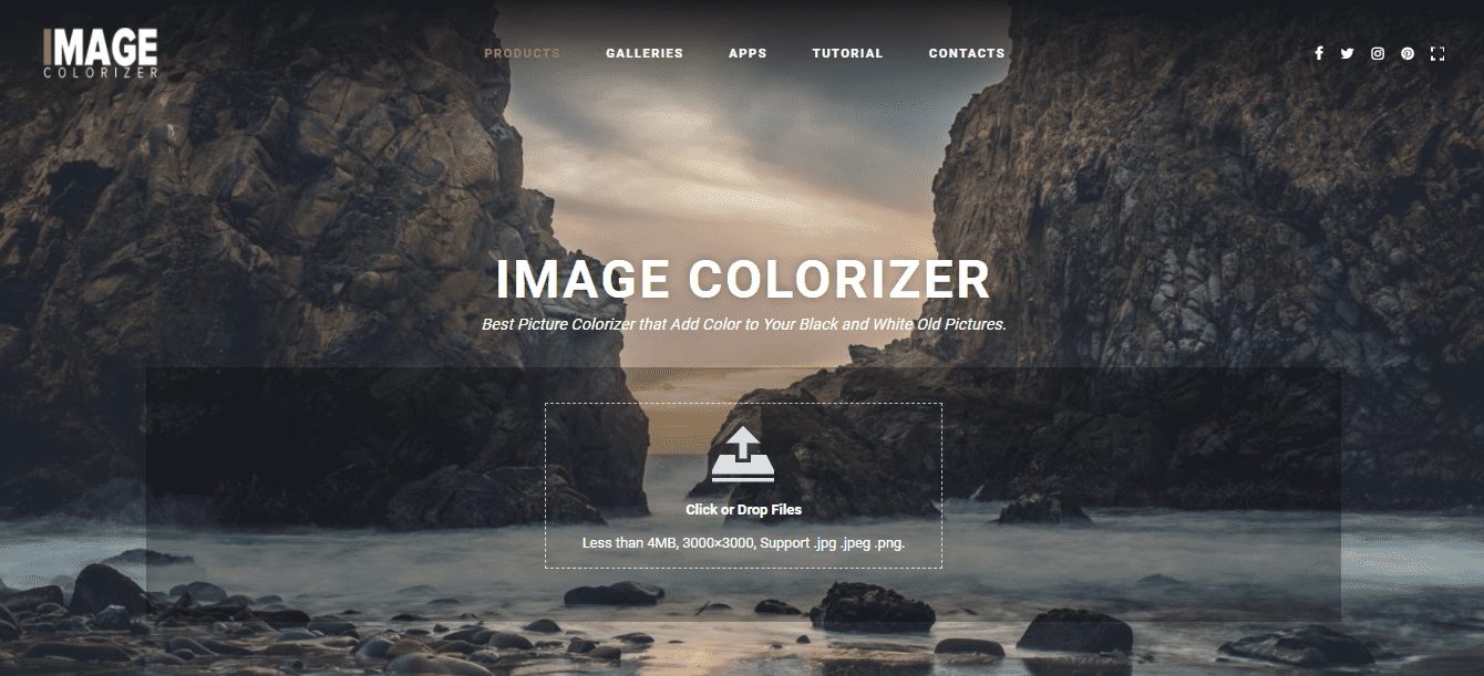 Online Image Colorizer