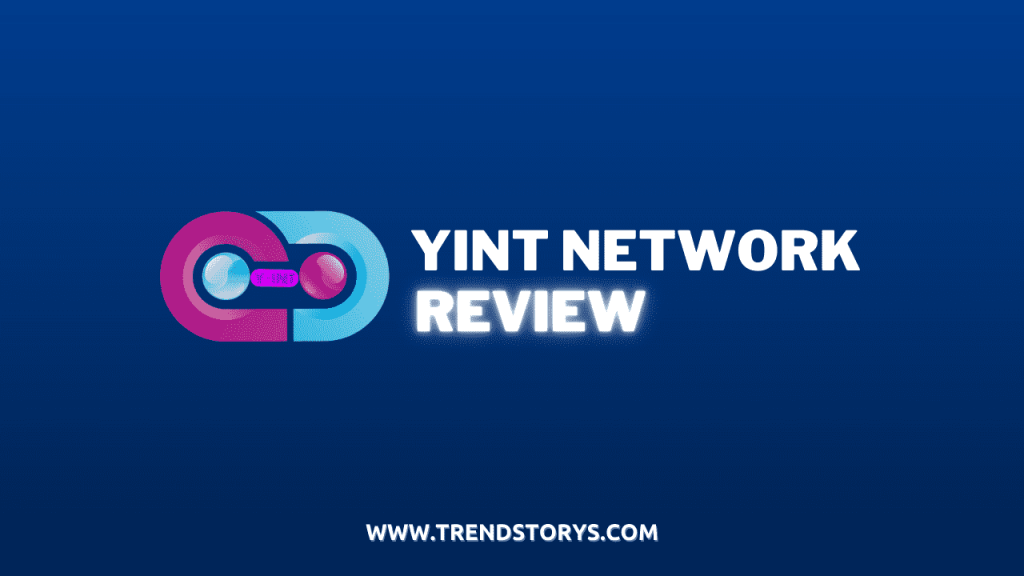 Yint Network Review