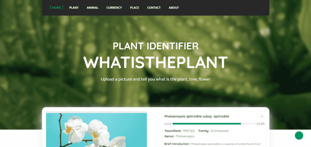 AI Plant Identifier