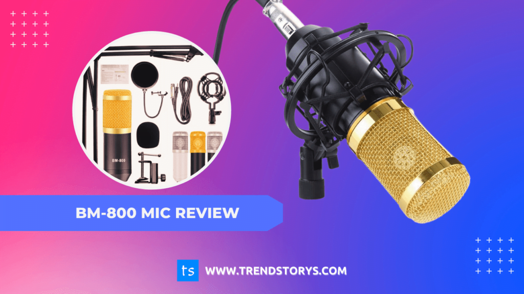 BM 800 Microphone Review
