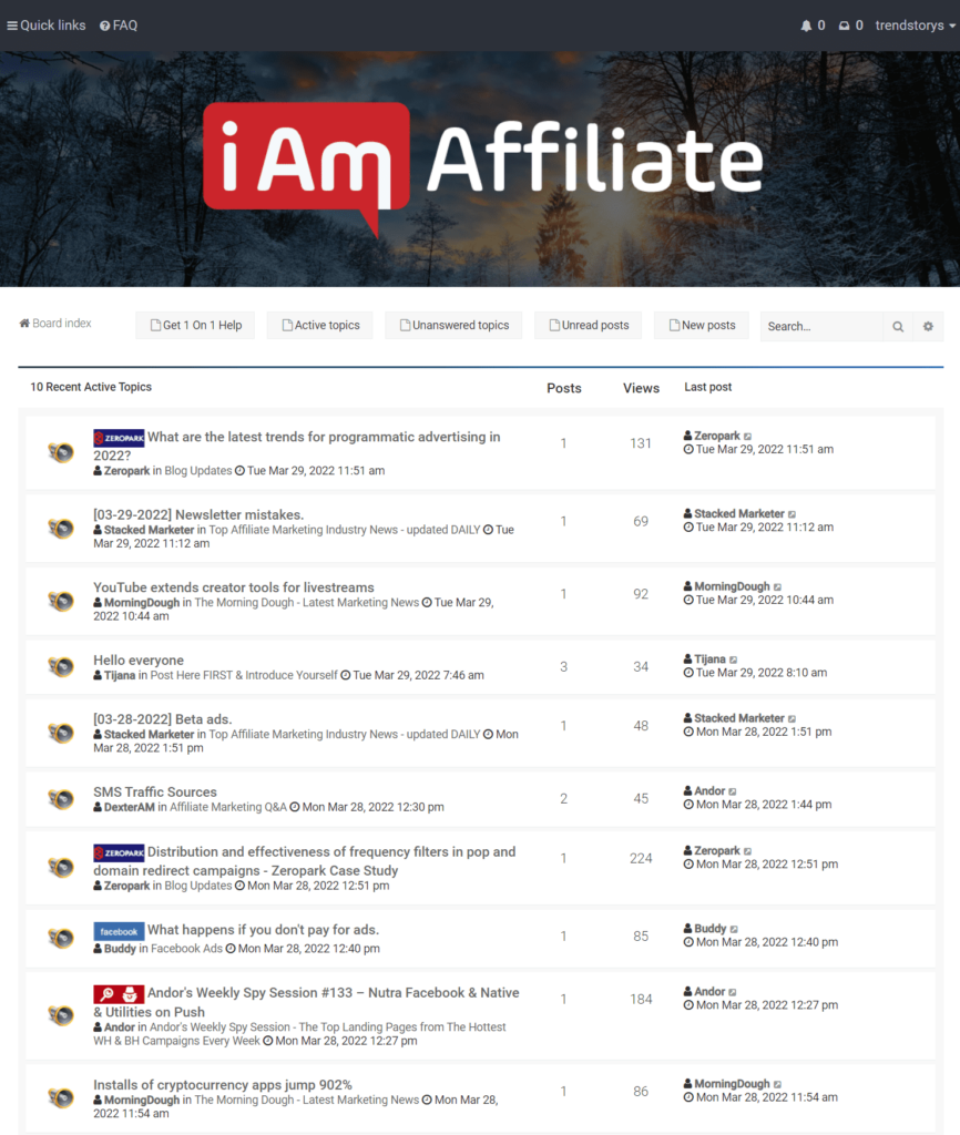 iAmAffiliate Dashboard