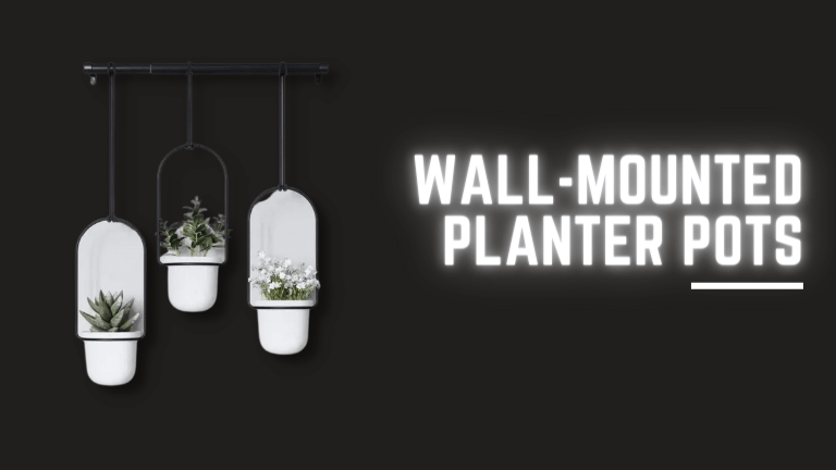 Wall Mounted Planter Pots